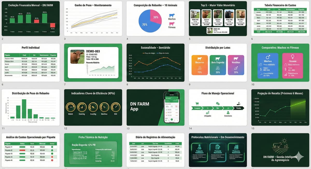 Galeria de telas do DN FARM - Dashboard, Relatorios, Animais